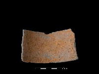 陶片藏品圖，第1張