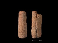 鼎足藏品圖，第1張