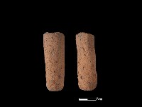 鼎足藏品圖，第1張