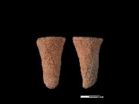 鼎足藏品圖，第1張