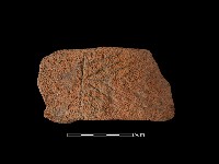 陶把藏品圖，第2張