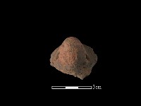 陶鈕藏品圖，第2張