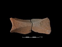 陶器藏品圖，第2張