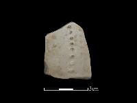 陶片藏品圖，第1張