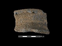 陶罐藏品圖，第2張