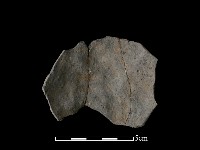 陶片藏品圖，第1張