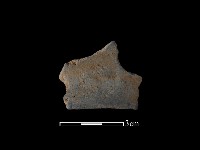 陶片藏品圖，第1張