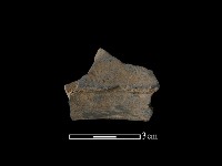 陶片藏品圖，第2張