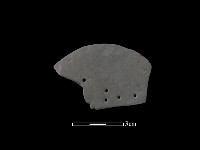 陶片藏品圖，第1張