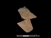 陶片藏品圖，第1張