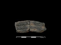 陶片藏品圖，第1張