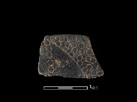 陶片藏品圖，第1張