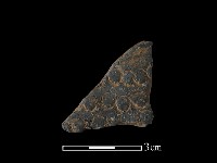 陶片藏品圖，第1張