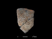 陶片藏品圖，第1張