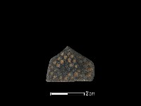 陶片藏品圖，第1張