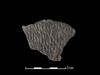 陶片藏品圖，第1張