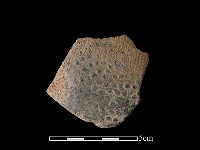 陶片藏品圖，第1張