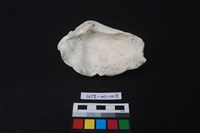 貝殼藏品圖，第2張