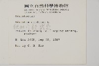 鞭葉鐵線蕨藏品圖，第2張