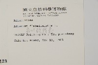 扇葉鐵線蕨藏品圖，第2張