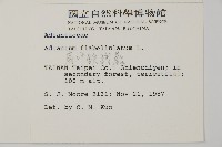 扇葉鐵線蕨藏品圖，第2張