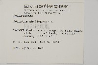 半月形鐵線蕨藏品圖，第2張