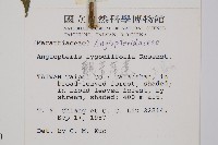 觀音座蓮藏品圖，第2張