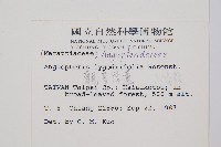 觀音座蓮藏品圖，第2張