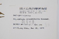 觀音座蓮藏品圖，第2張