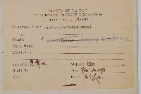 斜方複葉耳蕨藏品圖，第7張