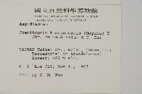 高士佛擬肋毛蕨藏品圖，第2張