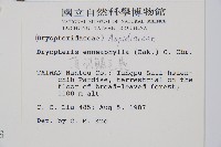 大頂羽鱗毛蕨藏品圖，第2張