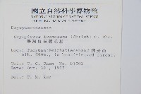 臺灣鱗毛蕨藏品圖，第2張