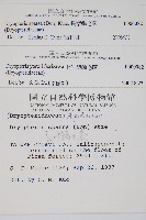 長葉鱗毛蕨藏品圖，第2張