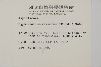 腫足蕨藏品圖，第2張