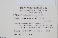 臺東耳蕨藏品圖，第2張