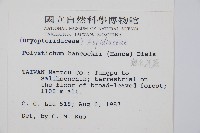 韓氏耳蕨藏品圖，第2張