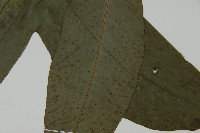 南投三叉蕨藏品圖，第5張