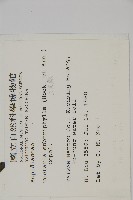 三叉蕨藏品圖，第2張