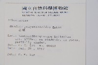 岩蕨藏品圖，第2張