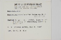 薄葉孔雀鐵角蕨、邊孢鐵角蕨藏品圖，第2張