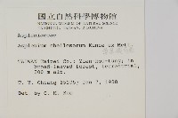 薄葉孔雀鐵角蕨、邊孢鐵角蕨藏品圖，第2張