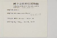 剪葉鐵角蕨藏品圖，第2張