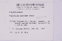 剪葉鐵角蕨藏品圖，第2張
