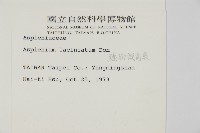 鱗柄鐵角蕨藏品圖，第2張