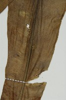 臺灣山蘇花藏品圖，第8張