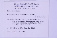 長生鐵角蕨藏品圖，第2張