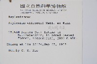 威氏鐵角蕨藏品圖，第2張