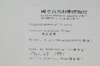 東洋蹄蓋蕨藏品圖，第7張