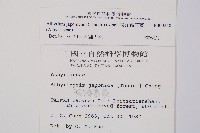 東洋蹄蓋蕨藏品圖，第2張